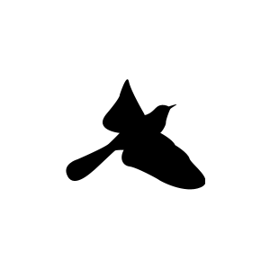 Logo Kleiber Media Videoproduktion & FPV Drohnen